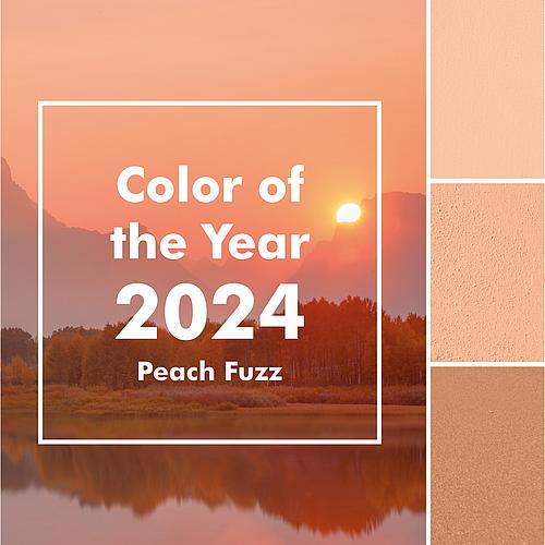 Pantone Farbe des Jahres 2024 Peach Fuzz